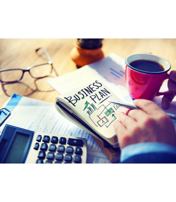 Business Plan Development